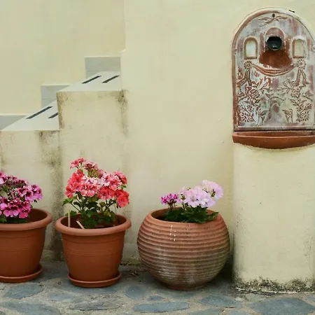 Mistra Estates The Vine 펜션