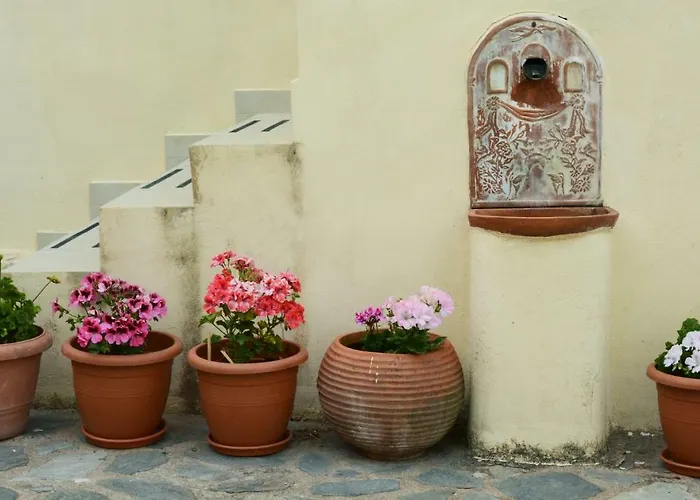 Mistra Estates The Vine Casa vacanze